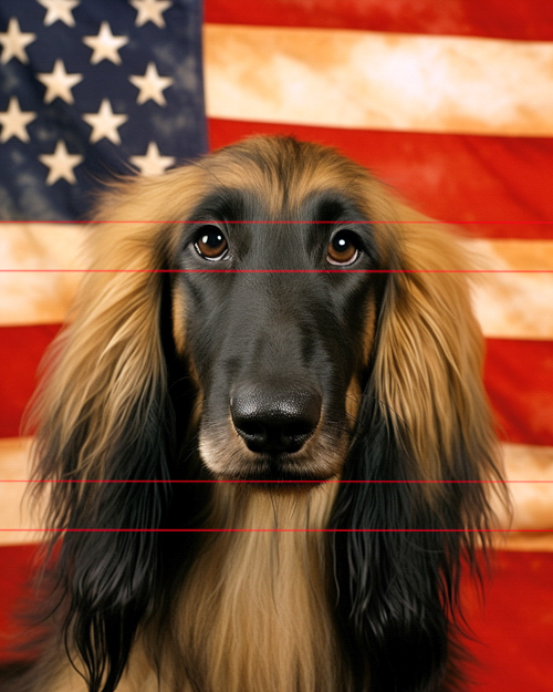 A long-haired afghan hound in front of an american flag background, with a focus on the dog's expressive eyes and elegant fur. the flag's stripes align with the backdrop.