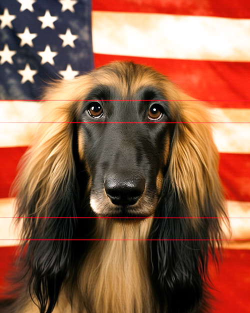 A picture of a long-haired afghan hound in front of an american flag background, with a focus on the dog's expressive eyes and elegant fur. the flag's stripes align with the backdrop.