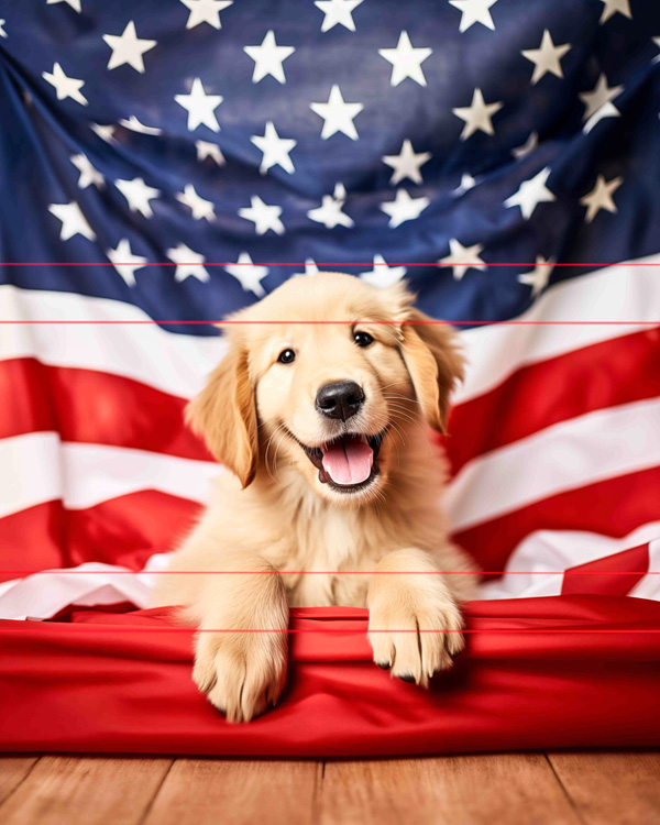A picture of a golden retriever puppy sits in front of a draped american flag, looking directly at the viewer with a soft, curious expression. the puppy's fur is shiny and its ears are slightly floppy.