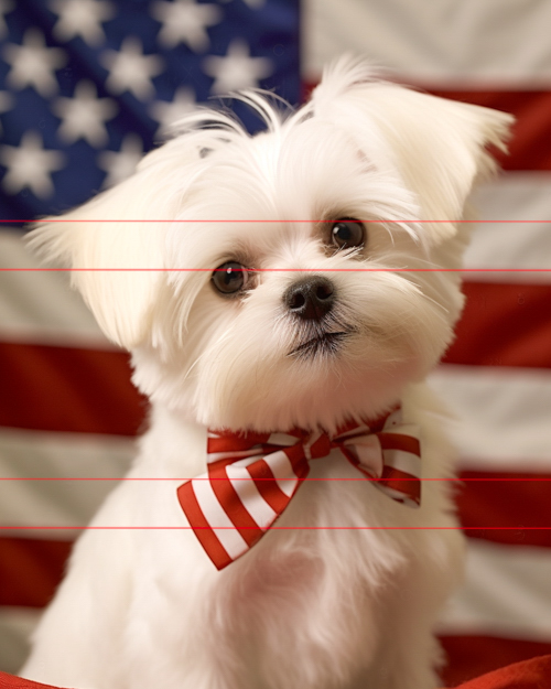 A picture of an adorable white maltese dog with a fluffy coat wearing a red and white striped bow tie, looking directly at the viewer. the background features an out-of-focus american flag with red and white stripes and white stars on blue.