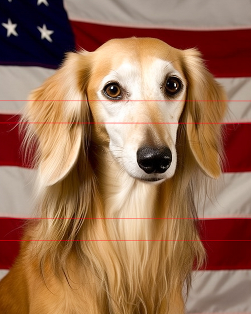 A picture of a saluki dog in front of an american flag, facing the viewer with a focused expression. Its long, flowing golden fur and large, dark eyes stand out prominently against the red and white stripes of the flag.