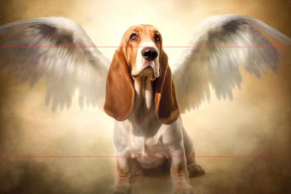 In this picture, a basset hound dog with long ears sits against a warm, sepia-toned background. The dog has angel wings that appear soft and feathery, extending from its back. The overall image has a dreamy, ethereal atmosphere, with the dog gazing up towards the sky.