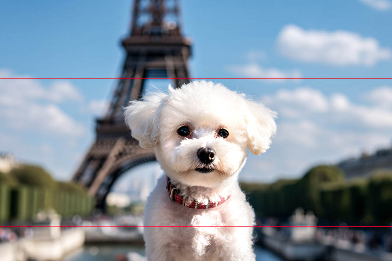 A small white Bichon Frise with curly fur looks straight ahead in this charming picture, with the iconic Eiffel Tower blurred in the background. The dog has a round face and dark eyes, and is wearing a red collar. The sky is blue with scattered clouds, complementing the greenery and structures around the Eiffel Tower.